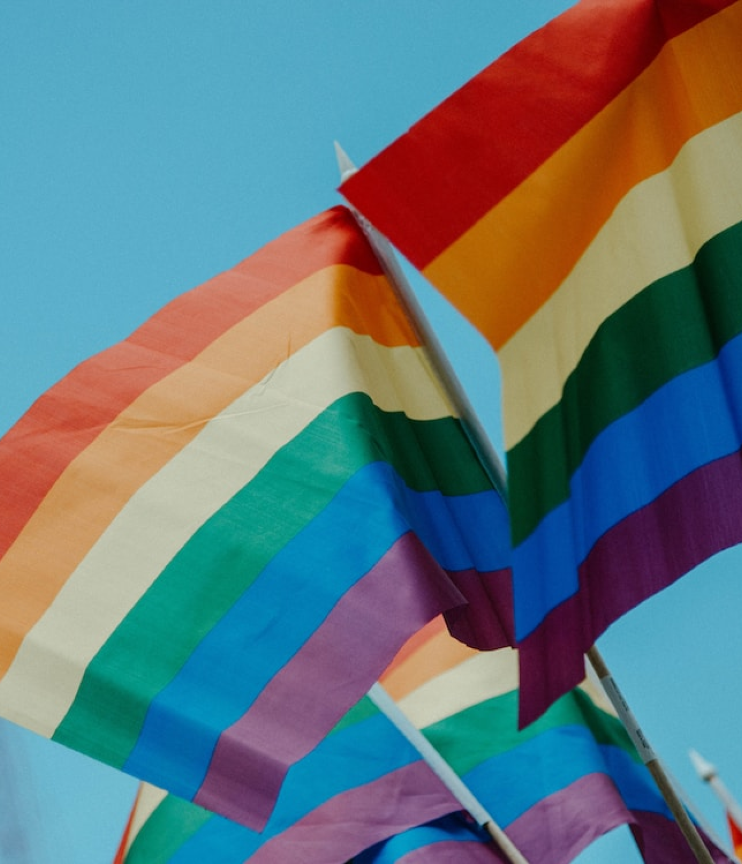 bandeira do arco-íris